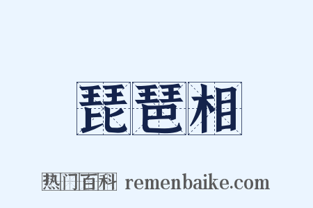 琵琶相是什么意思的图片